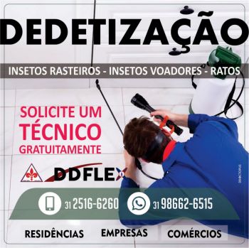 Dedetizadora de insetos, ratos e cupins em belo horizonte. Guia de empresas e serviços