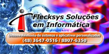 Flecksys soluções em informática. Guia de empresas e serviços