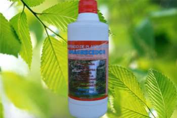 Produtos naturais exclusivos. Guia de empresas e serviços