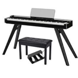 Piano eletrico 88 teclas waldmann. M�sicas e hobbies